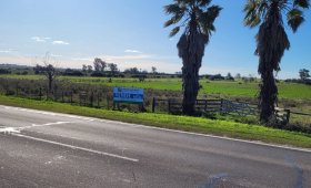 5 hectáreas en Villa Elisa.  S/ Ruta 130